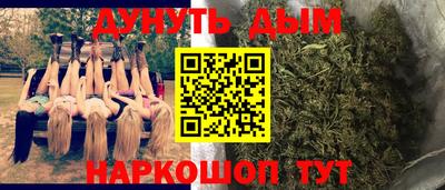 apvp Гусев